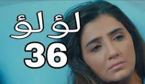 لؤلؤ 36 كاملة بالفيديو القصة الحقيقة في قتل مجدي لؤلؤ فكيف ذلك؟!