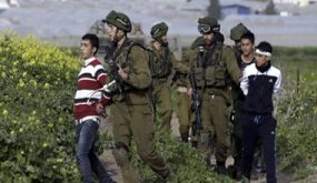 الاحتلال الإسرائيلى يعتقل سبعة فلسطينيين فى القدس