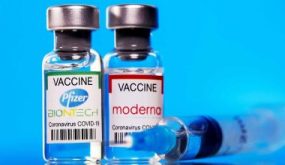 السلطات الأردنية تقرر حبس 5 أشخاص أصدروا شهادات تلقى لقاح كورونا مزورة