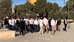 مستوطنون إسرائيليون يقتحمون الأقصى والاحتلال الإسرائيلى يبعد 4 مواطنين عنه