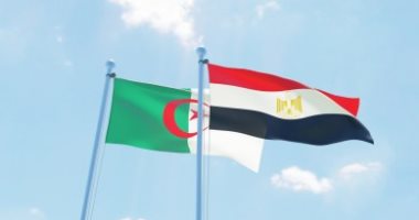 ممثل الاتحاد الجزائرى للمستثمرين: مخطط عمل لتعزيز الاستثمارات المصرية