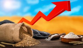اتهامات لروسيا بالتسبب بأزمة غذاء عالمية.. والأخيرة: العقوبات هي السبب