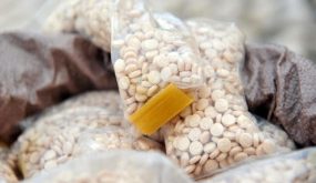 حبوب منع الحمل لا تخفي آثار المخدرات