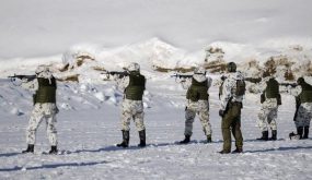 فنلندا تعتزم بناء سياج على حدودها مع روسيا