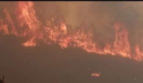 الجزائر: إخماد 22 حريقا نشب في 12 ولاية خلال 24 ساعة