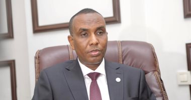 رئيس وزراء الصومال يعرب عن تقديره لدعم اليابان لبلاده بمختلف المجالات