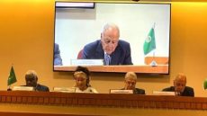 أبو الغيط يدعو الدول الافريقية لدعم حصول فلسطين على عضوية كاملة بالأمم المتحدة