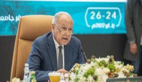 أبو الغيط يلتقى المدير العام للوكالة الدولية للطاقة المتجددة