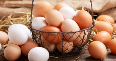 الكويت تحظر تصدير البيض بدءاً من 1 أكتوبر المقبل