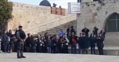 مستوطنون يواصلون عدوانهم على فلسطينيين في الضفة الغربية