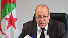 الجزائر تدعو إلى وضع تصور عربي شامل لمواجهة الهيمنة الرقمية العالمية
