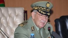 الجزائر وبريطانيا تبحثان تعزيز التعاون العسكرى والأوضاع الإقليمية والدولية