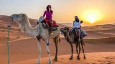 رئيس المنظمة العربية للسياحة: التكامل العربى يحقق التنمية للاستثمارات والسياحة