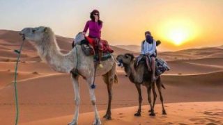 رئيس المنظمة العربية للسياحة: التكامل العربى يحقق التنمية للاستثمارات والسياحة