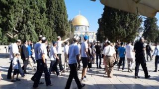 مُستوطنان إسرائيليان مُسلحان يقتحمان أراضى كنيسة بالقدس ويرفضان المغادرة