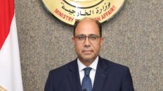 وزير الخارجية يلتقى مع وزير الشئون الخارجية والتعاون والموريتانيين فى الخارج