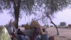 اليمن يجدد موقفه الداعم لكافة الجهود الرامية لعودة الأمن والاستقرار في السودان