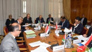 أبو الغيط يؤكد على أهمية تعزيز التعاون العربى الإفريقى وعدم ترك الساحة لأطراف أخرى