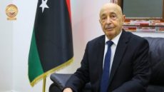 عقيلة صالح: لجنة (6+6) مستمرة في عملها لحين الانتهاء من حل كل النقاط الخلافية