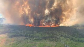 الدفاع المدني الأردني يكافح حريق بأشجار في عجلون شمال المملكة