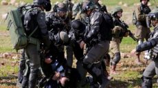 الاحتلال الإسرائيلي يعتقل 14 فلسطينيا من مناطق متفرقة بالضفة الغربية