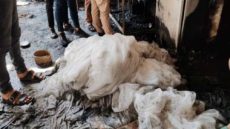 رئيس “القضاء الأعلى” بالعراق يوجه بسرعة إجراء التحقيقات لمحاسبة المتسببين بحادث حريق نينوى