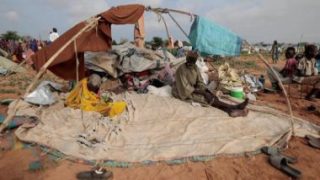 رئيس تحرير جريدة “نبض السودان”: مليون طالب جامعى يواجهون مصيرا مجهولا