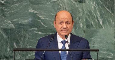 اليمن والإمارات يبحثان المساعي الأممية لإحلال السلام.. اعرف التفاصيل
