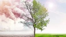 مؤتمر “الكيميائيين العرب” يوصى بدعم الأبحاث العلمية للحد من التغيرات المناخية