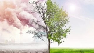 مؤتمر “الكيميائيين العرب” يوصى بدعم الأبحاث العلمية للحد من التغيرات المناخية