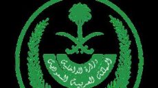 الداخلية السعودية: ضبط 14 ألفا و955 مخالفا لأنظمة الإقامة والعمل خلال أسبوع