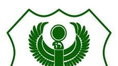 زى النهارده.. المصري البورسعيدى يتوج بالبطولة الأولى فى تاريخه